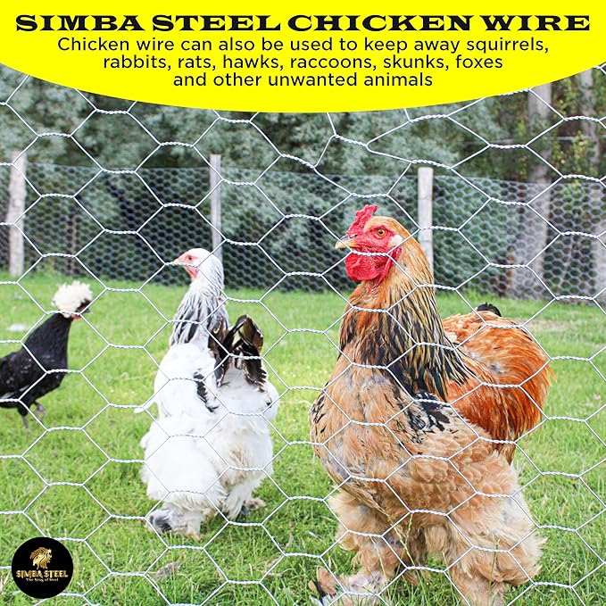 Chicken Wire 12 in x 150 FT x 1” Mesh x 20GA | Poultry Wire Netting | Hot Dipped Galvanized | Chicken Coop, Rabbit Cage, Fence Barrier (12 x 150 x 1)
