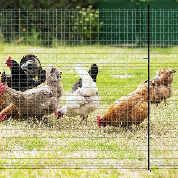 Non Electric Fence Netting 40" x164', Boundary Fence with Double Spiked Posts, Portable Poultry Fence All-Purpose Fencing for Dogs, Chickens, Ducks, Turkeys Suitable in Backyard, Garden, Farm