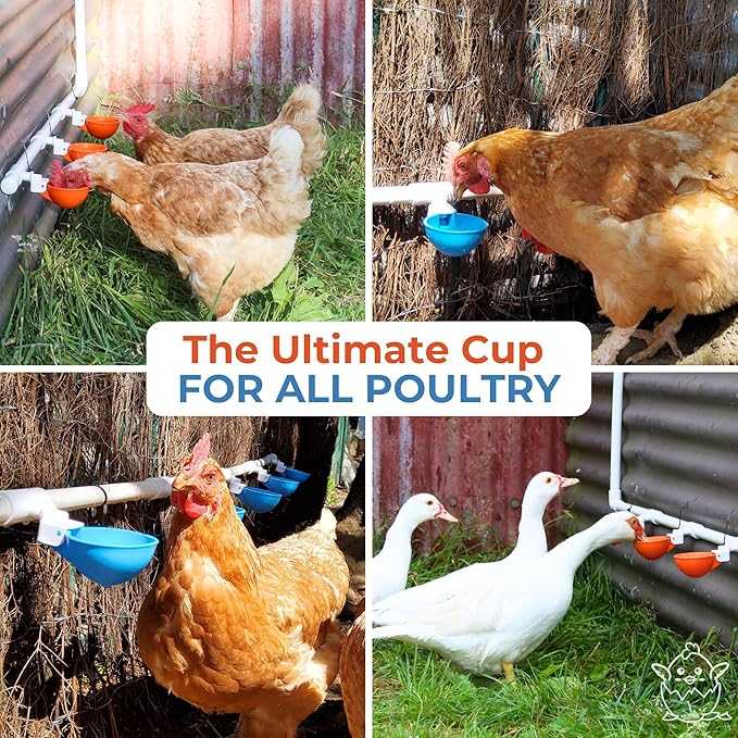 Lil'Clucker Large Automatic Chicken Waterer Cups with 1/2" PVC Tee Fittings - Chicken Water Cups, Chicken Water Feeder, for Chicks, Duck, Goose, Turkey - Poultry Waterer Feeder Kit (Orange, 5-Pack)