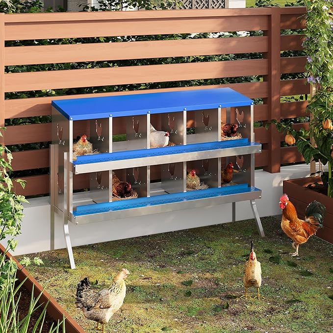 Chicken Nesting Box,10 Compartments Galvanized Steel Metal Chicken Laying Box with Roll Out Egg Collection,Wall Mount Chicken Nesting Boxes,Easy Egg Collection, Hen Roosting Boxes