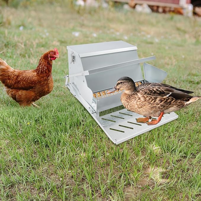 Automatic Chicken Feeder 25lb, Treadle Poultry Feeder Rat Proof with Weatherproof Lid, No Waste Galvanized Steel Feed Dispenser for Hens, Ducks, Large Capacity