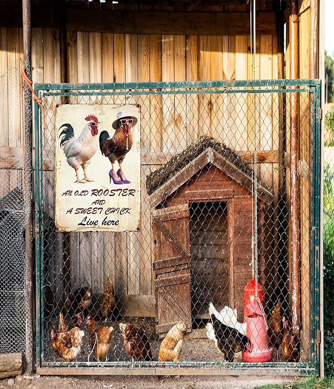 Vintage Chicken Wall Sign – 8x12” Farmhouse Rooster Decor with “AN OLD ROOSTER AND A SWEET CHICK Live here”” Quote – Rustic Waterproof Metal Plaque for Kitchen, Porch, Coop, Chicken Mom Gift - C