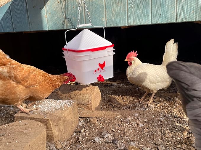 RentACoop 2 Gallon Chicken Waterer, BPA-Free Plastic Bucket Waterer Set with 4 Horizontal Nipples, Large Capacity Poultry Waterer - Center Placement