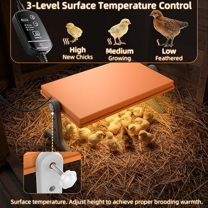 Chick Brooder Heater Plate – 12" x 8" Adjustable Height & Temperature Poultry Warmer for Up to 10 Chicks, Brooder Heating Plate for Chicks and Ducklings, Orange
