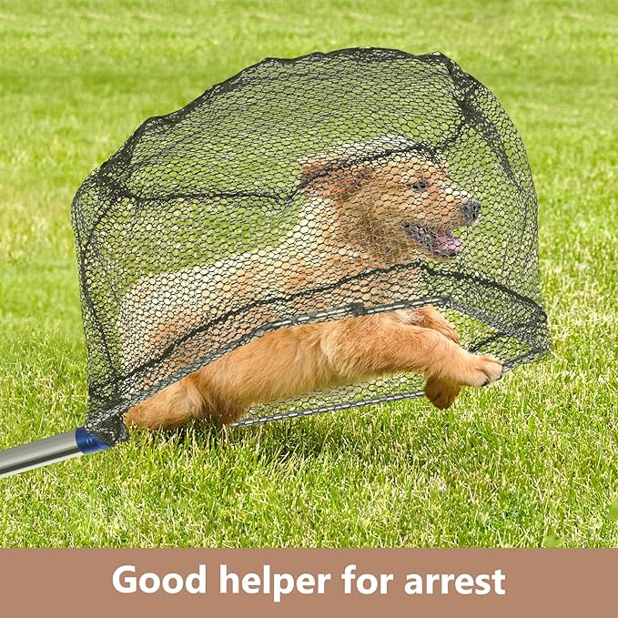Chicken Catching Net 2 Pcs,Adjustable from 29-74 inches Chicken Net, Suitable for Catching Outdoor Animals Such as Chickens, Ducks, Fishnet,Geese,Birds (2 Nets, 1 Pole Included)