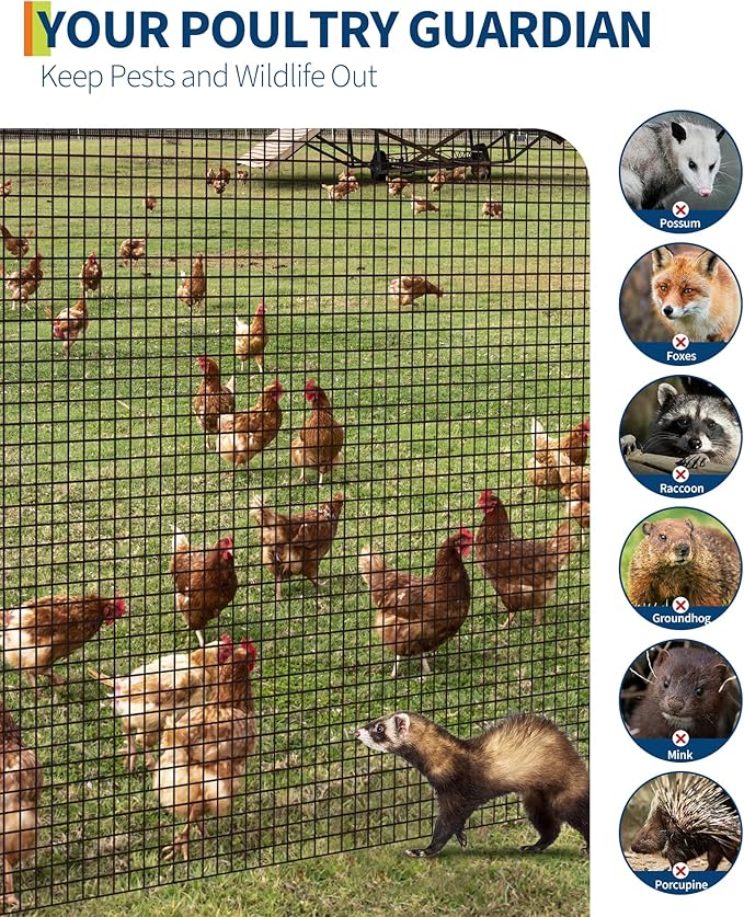 1/2 in 36 in x 100 ft Hardware Cloth, 19GA Chicken Wire Fencing,Galvanized Welded Wire Mesh Roll for Poultry Netting Cage, Chicken Coop, Black