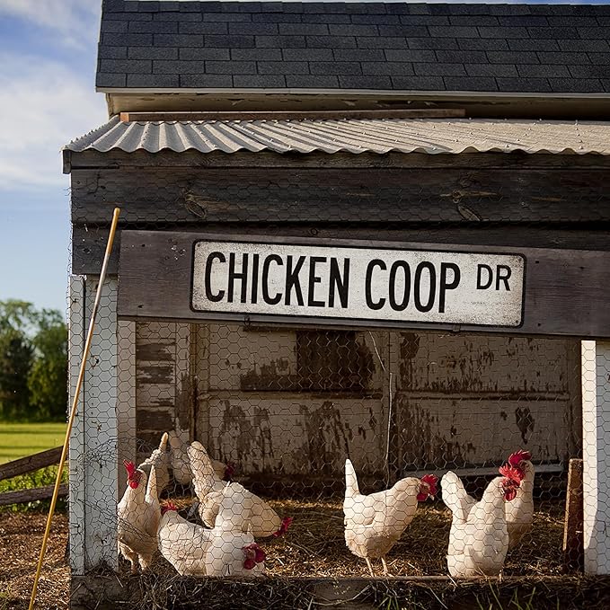 Chicken Coop Drive Street Sign - Made In USA - Chicken Coop Décor Rustic Chicken Sign Outdoor Sign Funny Signs Metal Sign 104180017014