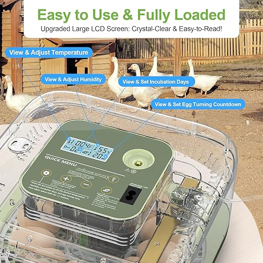 Incubators for Hatching Eggs, 12 Eggs Capacity, Egg Incubator with Automatic Egg Turning and Humidity Control for All Poultry - Chickens, Ducks, Quails, Turkeys, and More (Green)