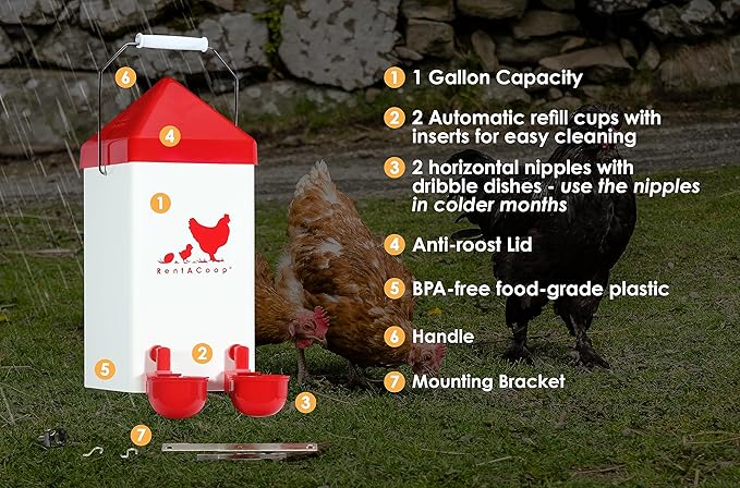 RentACoop 1 Gallon Chicken Waterer with 2 Auto-Fill Cups, Horizontal Nipples and Anti-Roost Cone - Suitable for Chicks, Chickens, Quails, Pigeons and Gamebirds