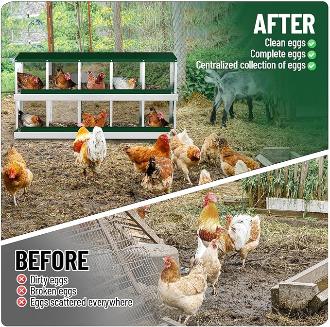 Chicken Nesting Boxes,10 Compartments Galvanized Steel Metal Laying Boxes,Pull-Out Egg Box Easy Egg Collection & Clean,Wall Mount Suitable for Farm Chicken House,Green