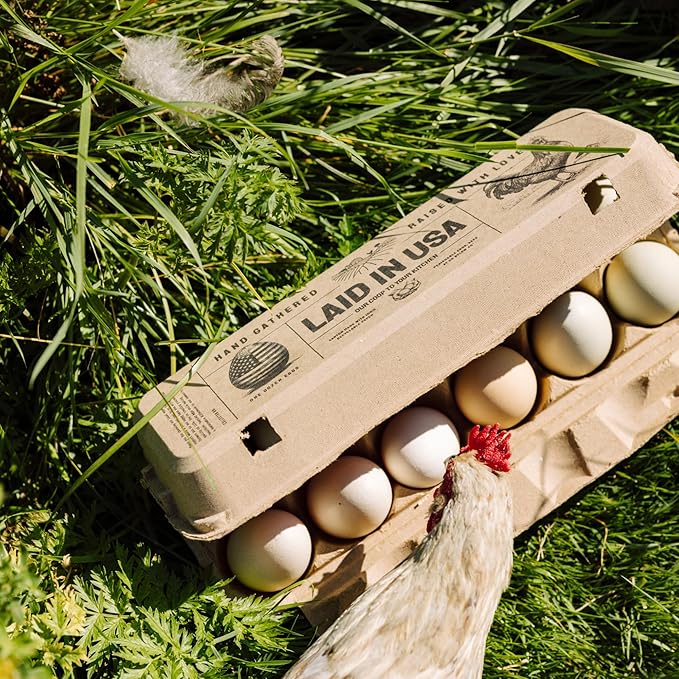 PTCOM Hatortempt Bulk Egg Cartons - 24-Pack, Reusable 12-Count Basket - Recycled Paper Pulp Protection & Ventilation - Fits Small to XL Sizes - Dozen Egg Carton Basket