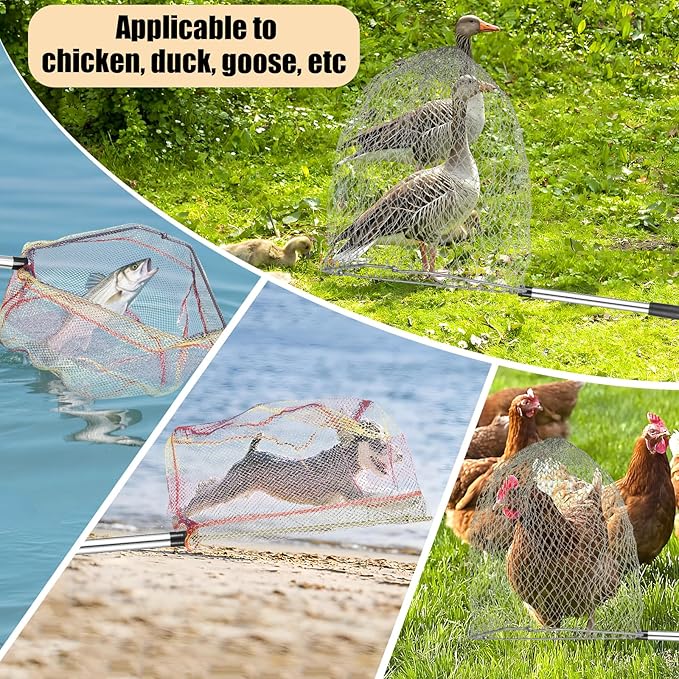Chicken Catching Net 2 Pcs, Bird Catching Net, 32" to 80" Stainless Steel Poultry Catcher for Catching Small Chicken, Goose, Ducks, Fish, Birds(2 Nets, 1 Pole Included)