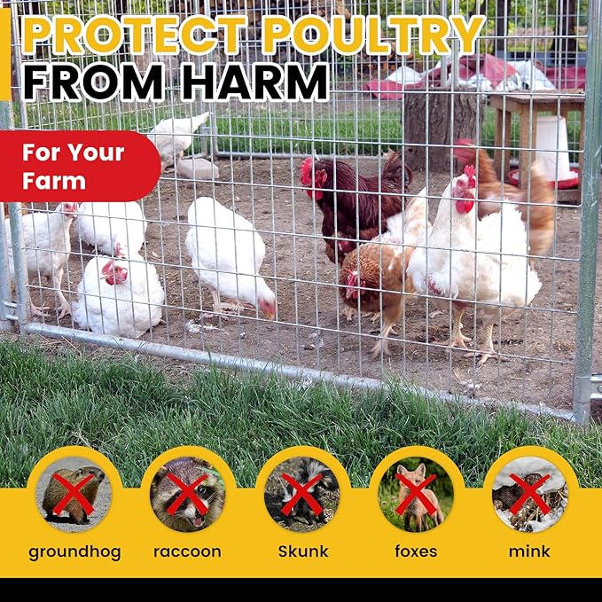Welded Wire Fence Hot Dip Galvanizing Chicken Wire Fencing Roll,2 Inch x 4 Inch 15GA Garden Fence,4 x 50 Foot Metal Poultry Netting Use for Animals Yard Vegetable Plant Protection