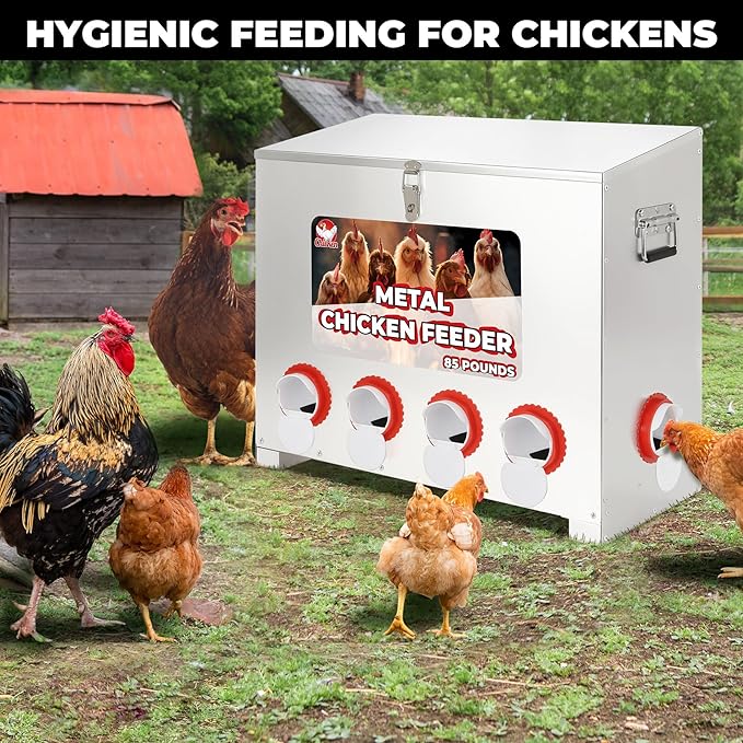 85 lbs 6-Port Galvanized Chicken Feeder No Waste with Locking Lid&Riveted Handles,Adjustable Height,Large Capacity Rainproof Automatic Chicken Feeders for Chickens, Poultry Coop,Silver