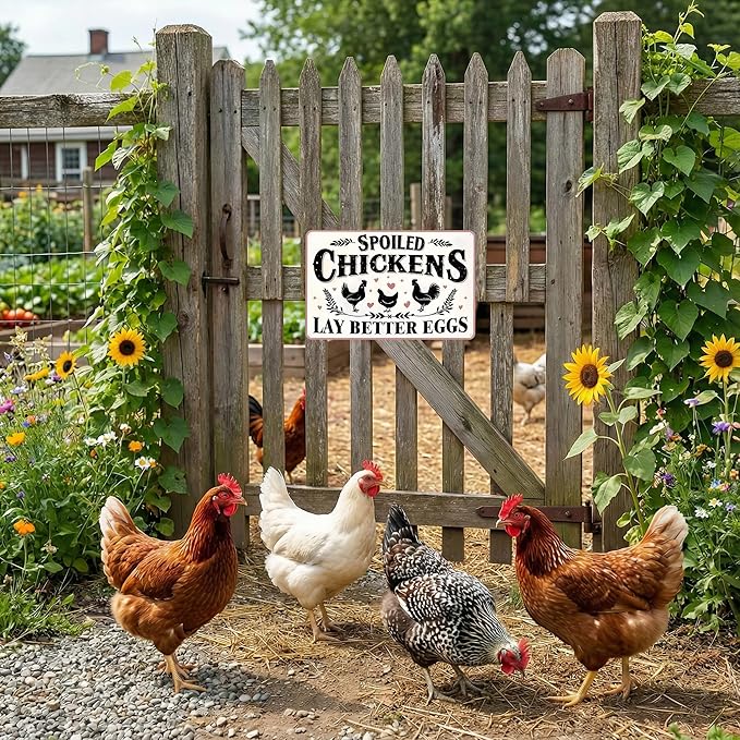 Funnysign Chicken Gifts Vintage Spoiled Chicken Lay Better Eggs Tin Sign for Chicken Coop Farm Kitchen Garden Yard Decor 8x12 inch(3916)
