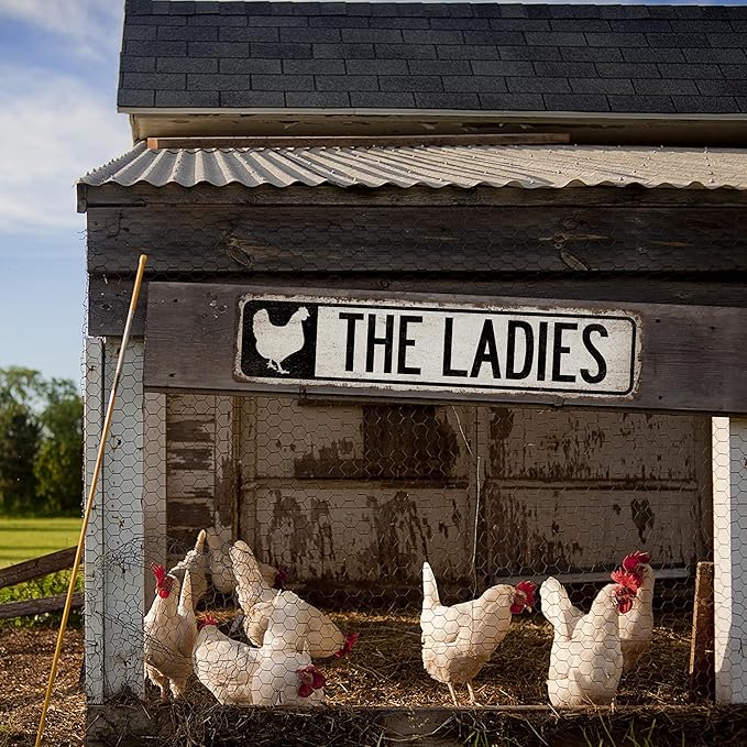 The Ladies Chicken Coop Sign Funny Chicken Décor - Made In USA - Hen House Signs For Coop Outdoor Garden Sign Farm Fresh Eggs 104180017005