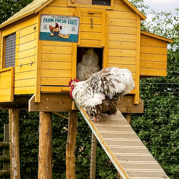Vintage Farm Fresh Eggs Metal Sign, Chicken Gifts Golden Eggs Tin Sign For Chicken Coop Rustic Farmhouse Kitchen Garden Wall Decor 8" x 12"