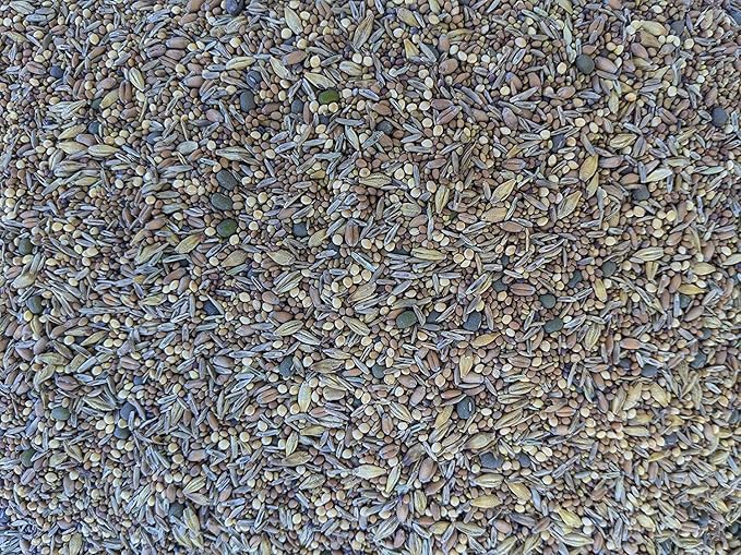 Premium Chicken Poultry Pasture Forage and Fodder Seeds (5-lb. Bag) - [33% Each: Clovers, Supplemental, Grains]