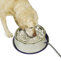 K&H Pet Products Thermal-Bowl Heated Water Bowl for Cats & Dogs Outside, Safety Listed Outdoor Heated Dog Dish for Pets, Automatic No Freeze, Anti Chew Cord - 102 Ounces Stainless 25W