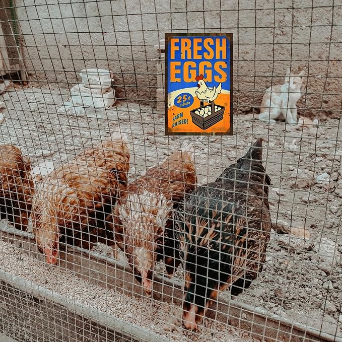 Funny Chicken Sign, Metal Chicken Coop Tin Signs, Fresh Eggs Farm Raised, Yard Sign Garage Farm Garden Wall Decor Sign Plaque Outdoor for Home Fence 8 X 12 Inches