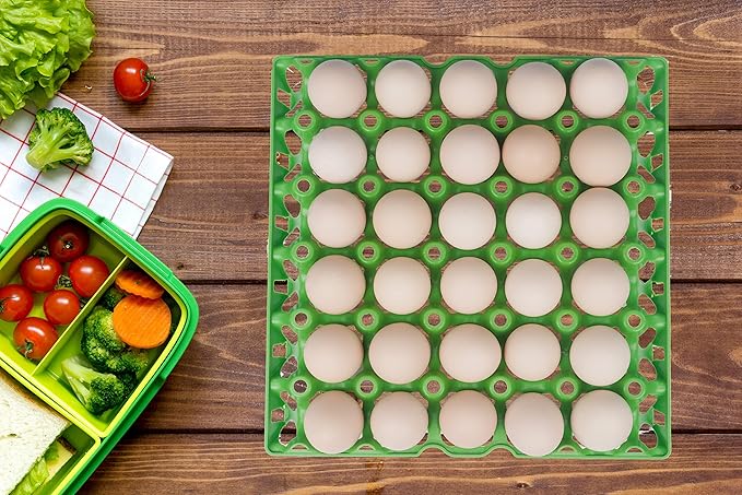 10Pcs Plastic Egg Tray 30-Cell Egg Flats, Stackable Egg Cartons, Green, Polypropylene, Rectangular, Modern, Sturdy, Kitchen, Storage