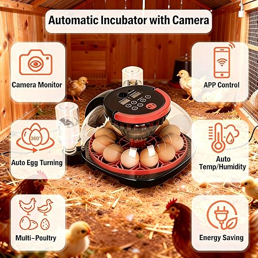 Automatic Egg Incubator for 12 Chicken Eggs with Camera APP Control, Temperature & Humidity Monitor, Auto Egg Turner, Record Life's Birth Moments for Chicken Duck Quail Pigeons