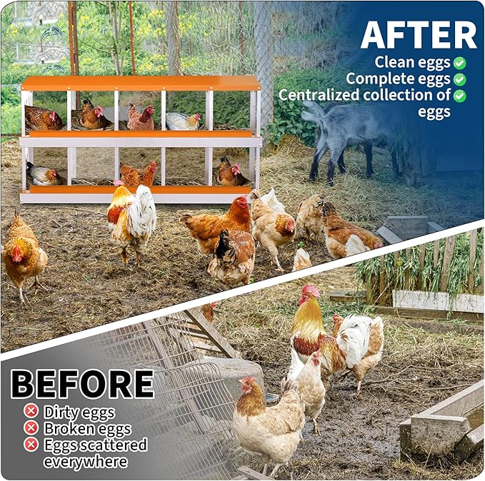 10-Compartment Chicken Nesting Box with Removable Tray - Metal Laying Boxes for Hens - Egg Rollaway Design, Wall Mount Farm Fresh Egg Collector, Hen Roosting Boxes for Chicken Coops