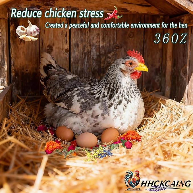 36 oz Nesting Herbs for Chicken coop – All-Natural Chili Blend for Nest Boxes & Bedding, Backyard Chicken Herbal Supplement, Promotes Balanced Digestive Health, Feather Quality, and Egg Production