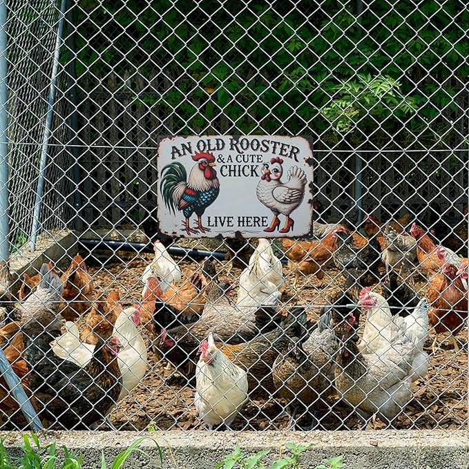 Funny Tin Signs Chicken Coop Decor Outdoor Vintage Rooster Gifts Yard-signs Decorative Signage For Farm and Garden 8×12 inches (H)