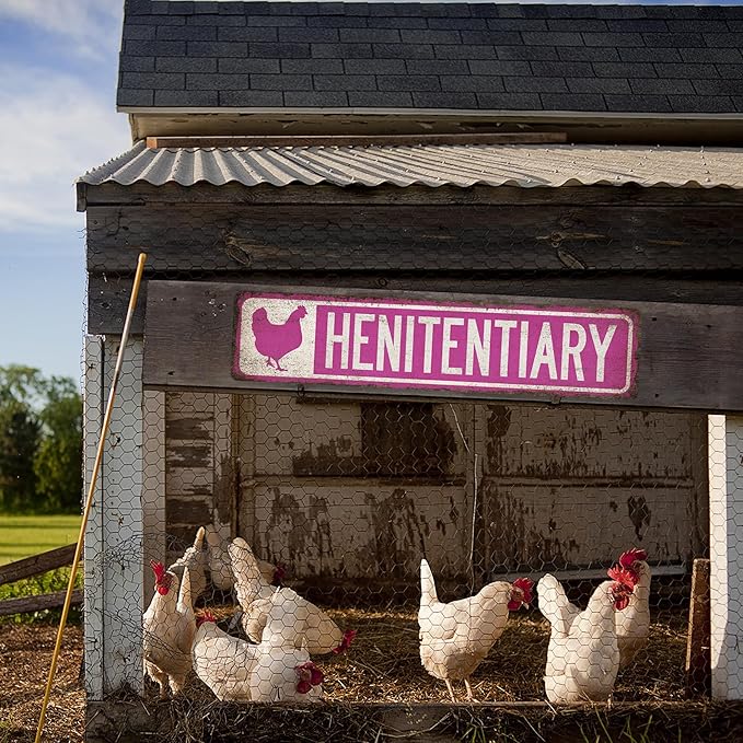 Chico Creek Signs Chicken Coop Sign - Made In USA - Chicken Decor Outdoor Signs - 4"x18" Aluminum Composite