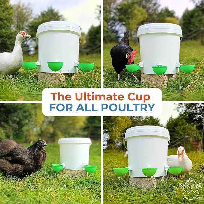 Lil'Clucker - Large Automatic Chicken Waterer Cups Suitable for Ducks, Geese, Turkeys, and Bunny Rabbit - Water Feeder Kit - Poultry Waterer (Green, 12 Pack)