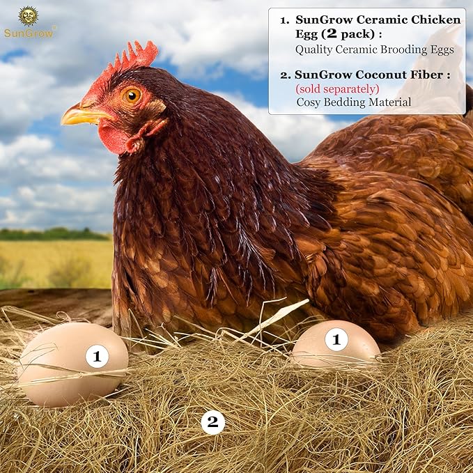 SunGrow Fake Wooden Eggs to Train Birds from Laying in The Nesting Boxes & to Stop from Eating Own Eggs, Brown Color, 2 Pack Suitable for Chicken and Duck