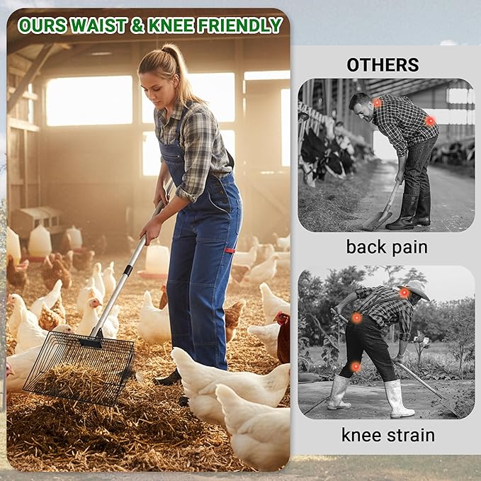 Chicken Poop Scooper, Litter Coop Scoop Rake Sand Sifting Shovel with Adjustable Long Handle (37" to 78"), Cleaning Tools Accessories for Chicken Coops & Farm Animals