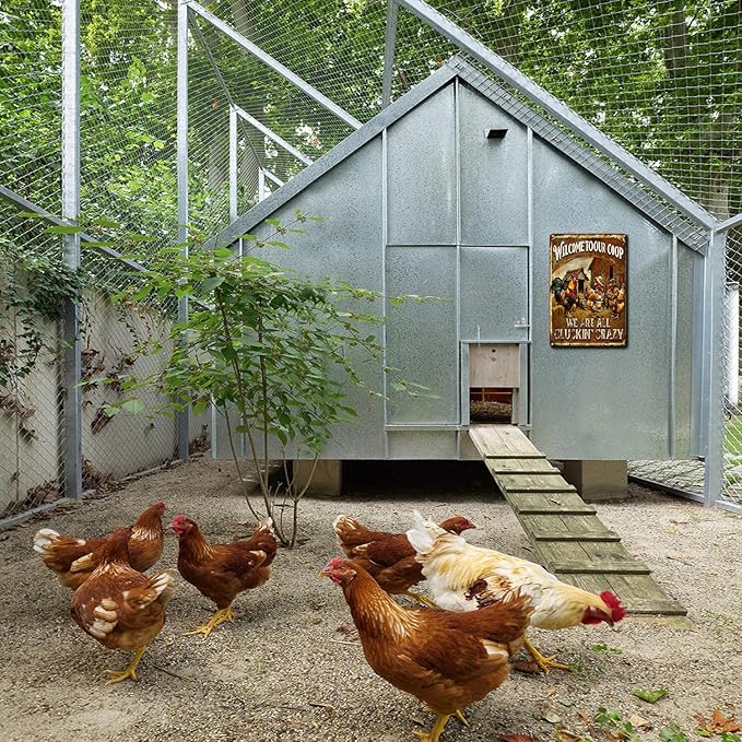 Funny Chicken Metal Sign Outdoor, Aluminum Farmhouse Wall Decor for Coop Door or Yard Area, Fluffy Humor Country Living Style, Rustic 8x12 Inch Gift