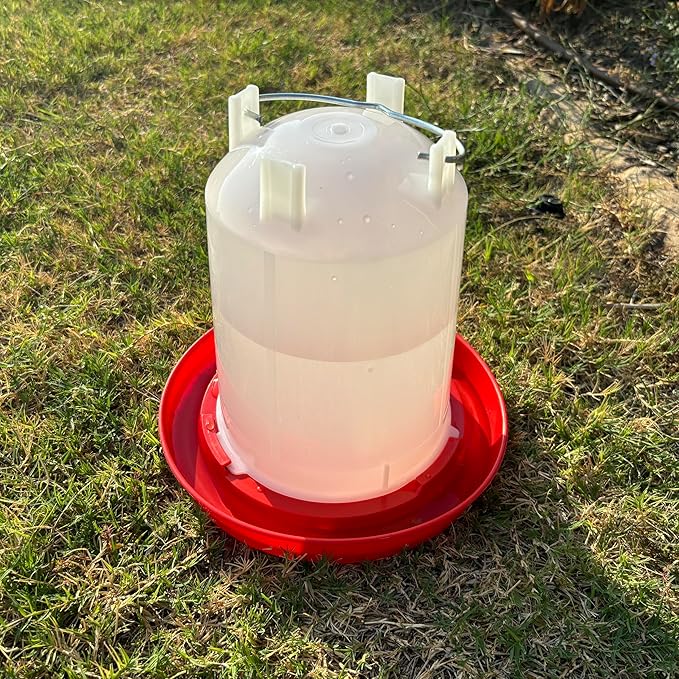 Chicken Waterer 3/4-Gallon Red Plastic Poultry Drinker | Convenient Sized Waterer for All Life Stages | for Chickens, Chicks, Ducks, Turkeys, Ducklings, Quail and More