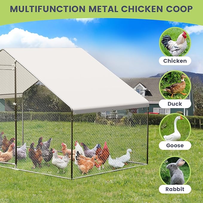 Large Walk-in Chicken Coop with Run, 9.8' x 6.5' Outdoor Chicken Runs for Yard with Cover, Metal Poultry Cage for Chickens, Ducks, Birds