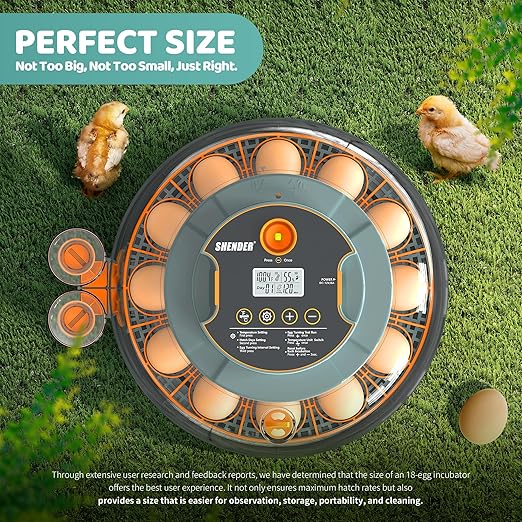 Egg Incubators for Hatching Eggs, Egg Incubator with Automatic Egg Turning and Humidity Control and Temperature Control, 18~36 Eggs Incubator for Chicken & Quail