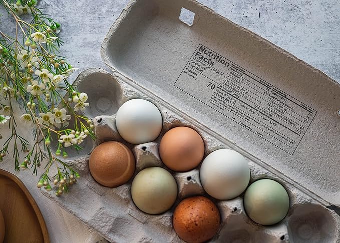 Blank 12-Egg Flat Top Paper Pulp Egg Carton with Nutrition Facts, Safe Handling Info, Optional UPC - 125 Pack