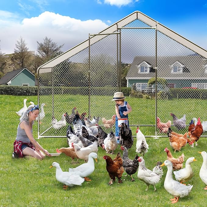 Large Walk-in Chicken Coop with Run, 9.8' x 6.5' Outdoor Chicken Runs for Yard with Cover, Metal Poultry Cage for Chickens, Ducks, Birds