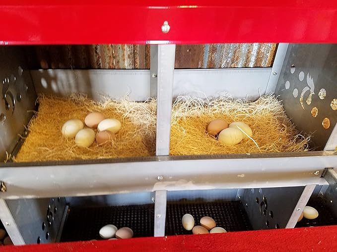 Duncan's Chicken Nesting Boxes - 8 Hole Metal Poultry Nest Box Wall Mount for Chickens, Hens, Ducks - Easy Egg Collection - Large Vented Holes - Fold Up Perches