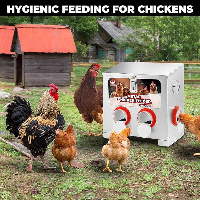 25 lbs 4-Port Galvanized Chicken Feeder No Waste with Locking Lid&Riveted Handles,Adjustable Height,Large Capacity Rainproof Automatic Chicken Feeders for Chickens, Poultry Coop,Silver