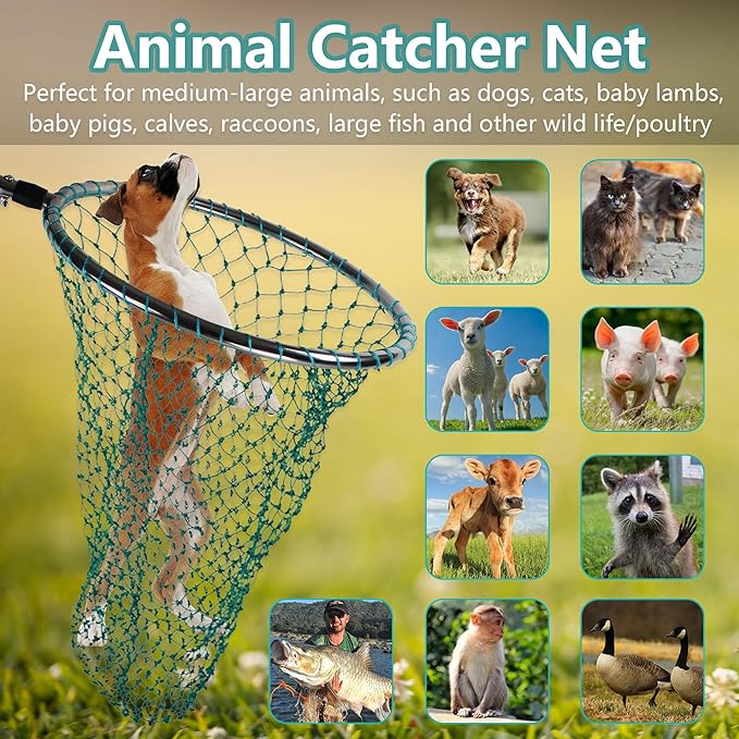 Dog Catch Net Animal Control Net Poultry Catching Trap Tool Length Adjustable for Cat, Pigeon and Others (42~70" Handle with 22" Net Opening) (Stainless Steel, Natural)