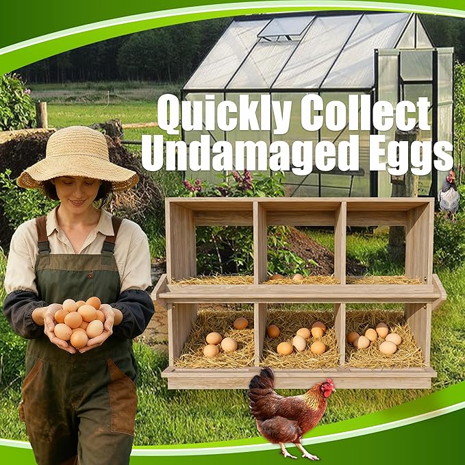 Nesting Box, 6 Compartments Wood Nest Box for Chicken with Swing Perch, Chicken Egg Laying Boxes for Hens, Ducks, Chickens