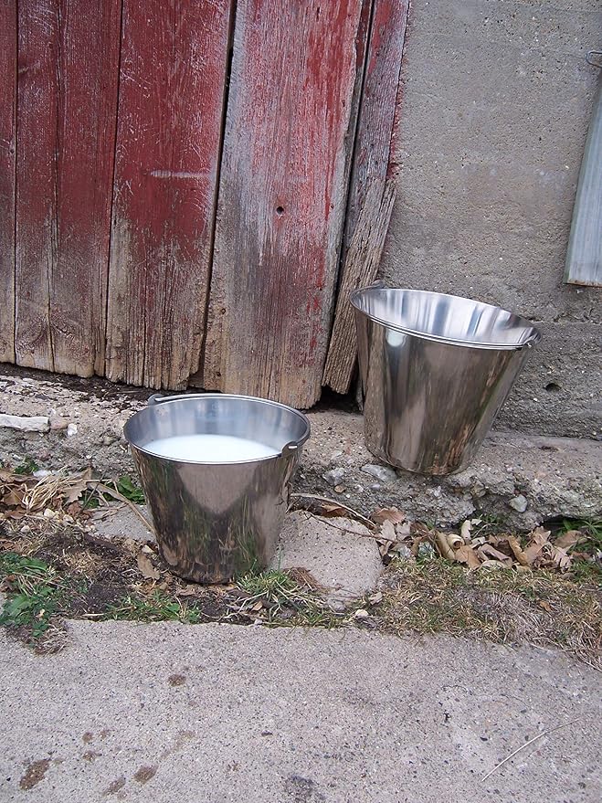 Little Giant® Stainless Steel Dairy Pail | Galvanized Metal Utility Bucket with Handle for Gardening & Farming | Cow Pail | 13 Quart