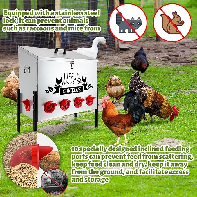 95LB Large Automatic Chicken Feeder Galvanized Metal Chicken Feeders with 10 Feeding Ports No Waste Outdoor Poultry Feeder with Adjustable Height Legs and Locking Lid for Chickens and Ducks