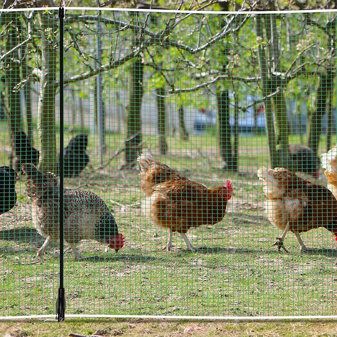 Non Electric Fence Netting 48"x65', Boundary Fence with Double Spiked Posts&Windproof Kit, Portable Poultry Fence for Dogs, Chickens, Ducks, Turkeys Suitable in Backyard, Garden