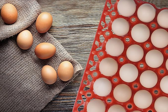 10Pcs Plastic Egg Tray, 30-Cell Egg Flats, Stackable Egg Crates, Red, Rectangular, Modern, Washable, Open Top, False Lid, BASKET, Plastic, 10Pcs