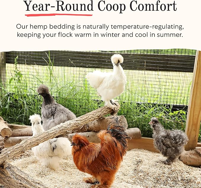 Grubbly Farms Hemp Bedding for Chickens - 99% Dust Free Chicken Coop Bedding with Odor Control, Moisture Absorption and Temperature Regulation - Naturally Sourced, Long Lasting - USA-Grown, 2.5 cu ft