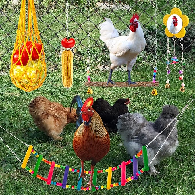 11 Pack Chicken Toys for Coop Accessories - Chicken Xylophone Toy, Chicken Mirror, Chicken Ladder Bridge, Coop Swing, Vegetable Hanging Chicken Feeder, Chewing Foraging Toys, Gifts for Hens