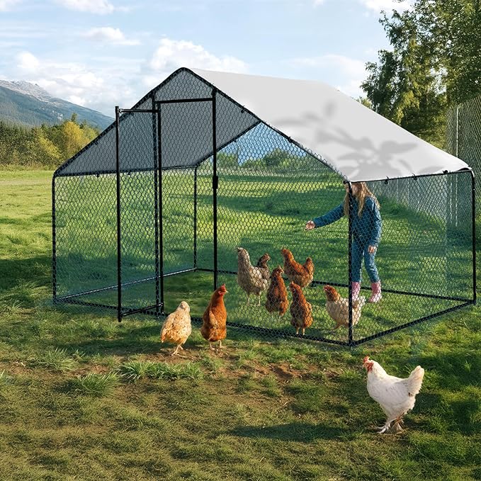 Outvita Chicken Coop, 6.5×10 FT Large Metal Chicken House, Poultry Habitat Cage with Waterproof Cover, Walk-in Chicken Run Pen for Small Animals Yard Farm Patio（Black Electrophoresis Process）